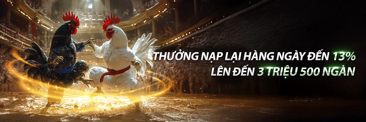 Hình ảnh chính của Chương Trình VIP 5652v